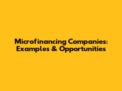 Microfinancing Companies: Examples & Opportunities