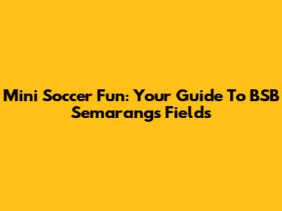 Mini Soccer Fun: Your Guide To BSB Semarang's Fields