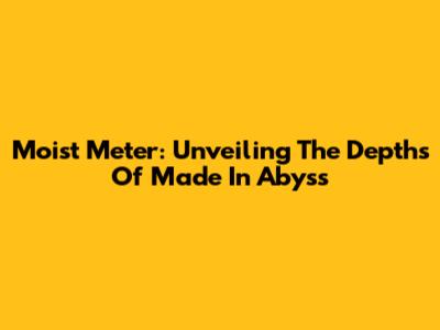 Moist Meter: Unveiling The Depths Of Made In Abyss