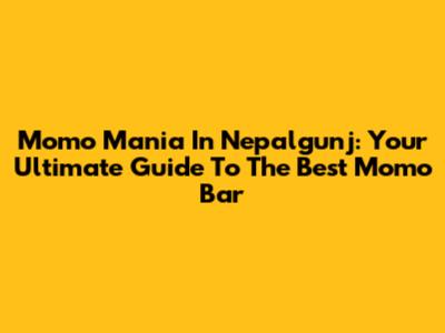 Momo Mania In Nepalgunj: Your Ultimate Guide To The Best Momo Bar