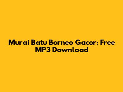 Murai Batu Borneo Gacor: Free MP3 Download