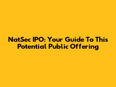 NatSec IPO: Your Guide To This Potential Public Offering