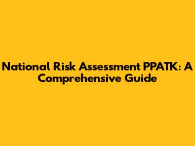 National Risk Assessment PPATK: A Comprehensive Guide