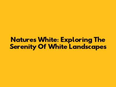 Nature's White: Exploring The Serenity Of White Landscapes