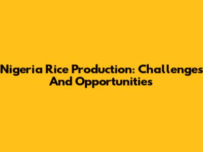 Nigeria Rice Production: Challenges And Opportunities
