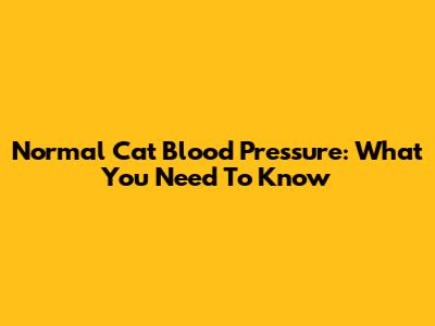 Normal Cat Blood Pressure: What You Need To Know