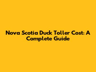 Nova Scotia Duck Toller Cost: A Complete Guide