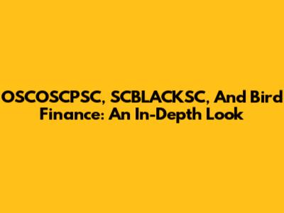 OSCOSCPSC, SCBLACKSC, And Bird Finance: An In-Depth Look
