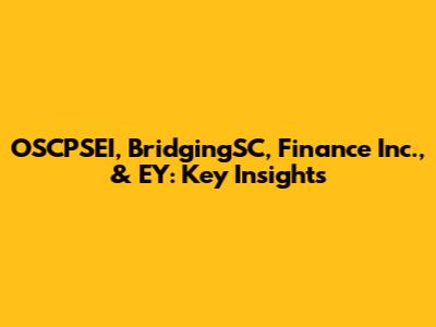 OSCPSEI, BridgingSC, Finance Inc., & EY: Key Insights