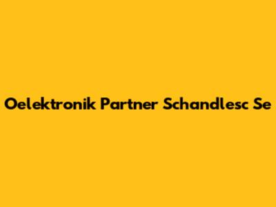 Oelektronik Partner Schandlesc Se