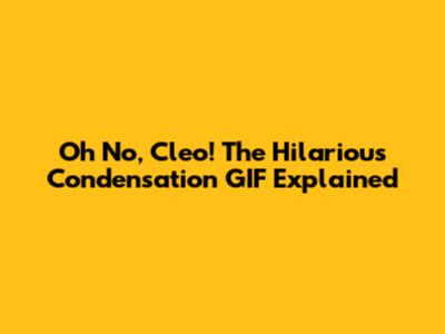 Oh No, Cleo! The Hilarious Condensation GIF Explained