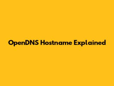 OpenDNS Hostname Explained