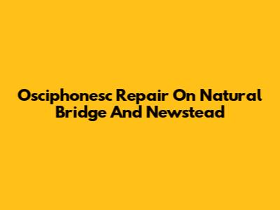 Osciphonesc Repair On Natural Bridge And Newstead