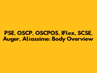 PSE, OSCP, OSCPOS, IFlex, SCSE, Auger, Aliassime: Body Overview