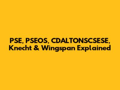 PSE, PSEOS, CDALTONSCSESE, Knecht & Wingspan Explained
