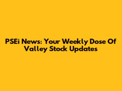 PSEi News: Your Weekly Dose Of Valley Stock Updates