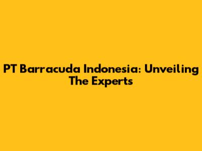 PT Barracuda Indonesia: Unveiling The Experts
