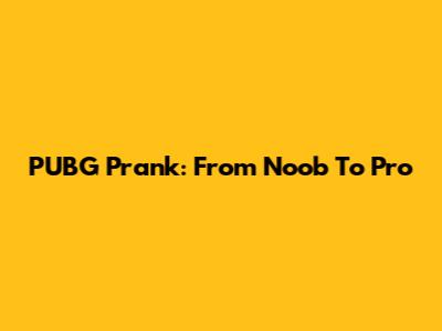 PUBG Prank: From Noob To Pro