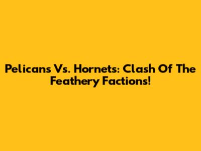 Pelicans Vs. Hornets: Clash Of The Feathery Factions!