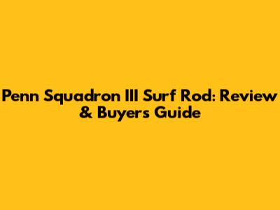 Penn Squadron III Surf Rod: Review & Buyer's Guide