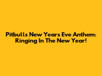 Pitbull's New Year's Eve Anthem: Ringing In The New Year!