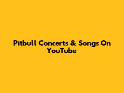 Pitbull Concerts & Songs On YouTube