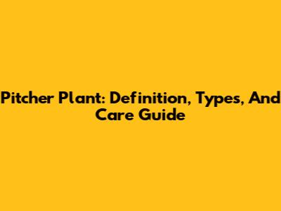 Pitcher Plant: Definition, Types, And Care Guide