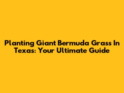 Planting Giant Bermuda Grass In Texas: Your Ultimate Guide