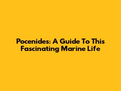Pocenides: A Guide To This Fascinating Marine Life