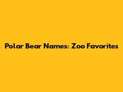 Polar Bear Names: Zoo Favorites