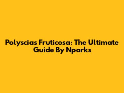 Polyscias Fruticosa: The Ultimate Guide By Nparks