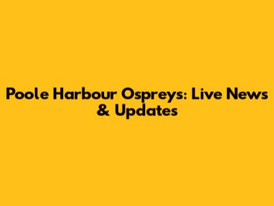 Poole Harbour Ospreys: Live News & Updates