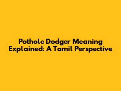 Pothole Dodger Meaning Explained: A Tamil Perspective