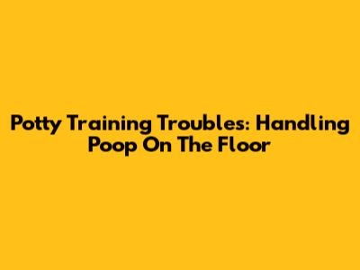 Potty Training Troubles: Handling Poop On The Floor