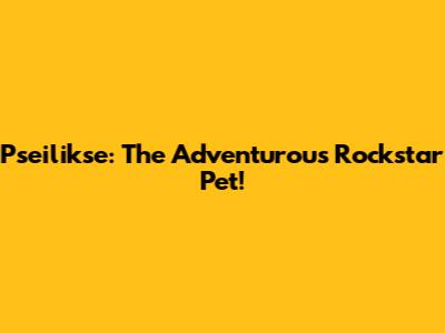 Pseilikse: The Adventurous Rockstar Pet!