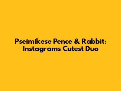 Pseimikese Pence & Rabbit: Instagram's Cutest Duo