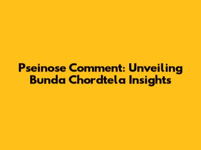 Pseinose Comment: Unveiling Bunda Chordtela Insights