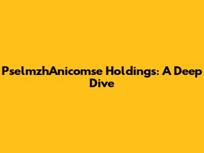PselmzhAnicomse Holdings: A Deep Dive