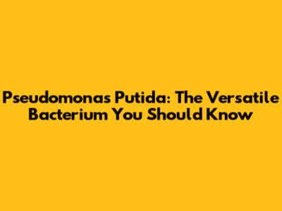 Pseudomonas Putida: The Versatile Bacterium You Should Know