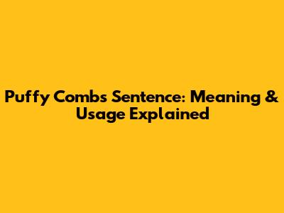 Puffy Combs Sentence: Meaning & Usage Explained