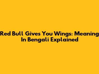 Red Bull Gives You Wings: Meaning In Bengali Explained