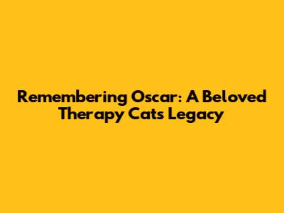 Remembering Oscar: A Beloved Therapy Cat's Legacy