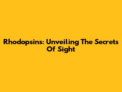 Rhodopsins: Unveiling The Secrets Of Sight