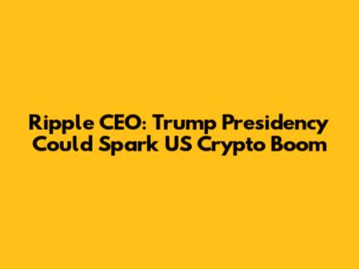 Ripple CEO: Trump Presidency Could Spark US Crypto Boom
