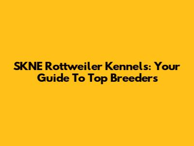 SKNE Rottweiler Kennels: Your Guide To Top Breeders