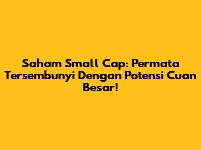 Saham Small Cap: Permata Tersembunyi Dengan Potensi Cuan Besar!