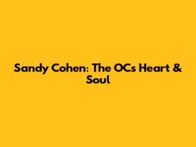 Sandy Cohen: The OC's Heart & Soul