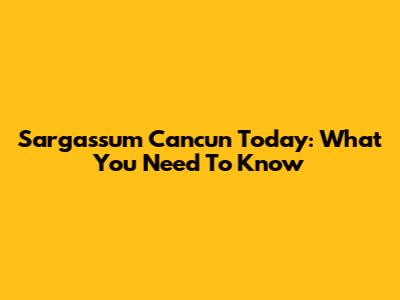 Sargassum Cancun Today: What You Need To Know