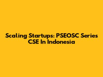Scaling Startups: PSEOSC Series CSE In Indonesia