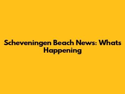 Scheveningen Beach News: What's Happening
